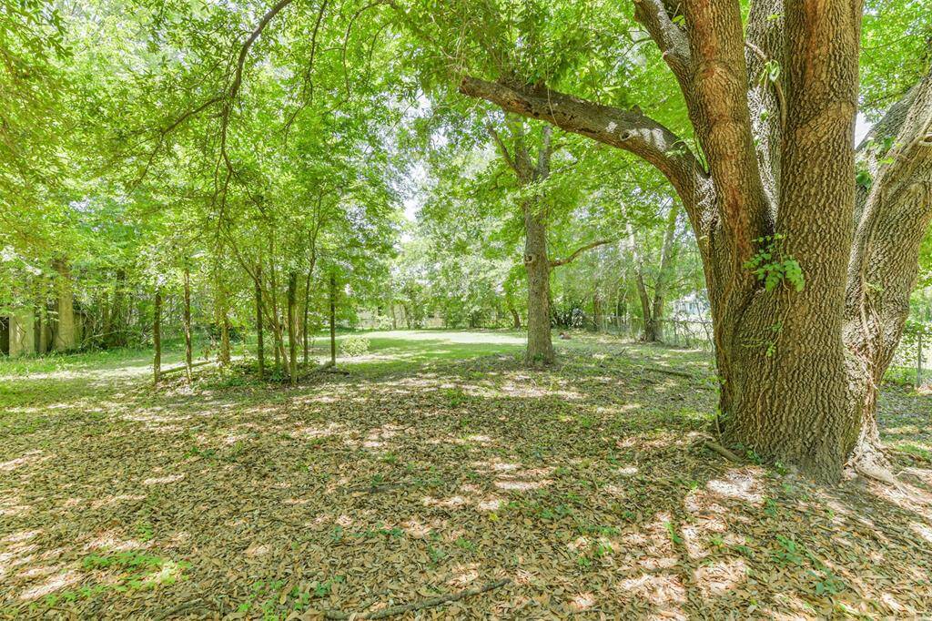 A spacious, tree-filled backyard offers a serene, natural setting with ample shade and greenery, perfect for relaxation and outdoor activities.
