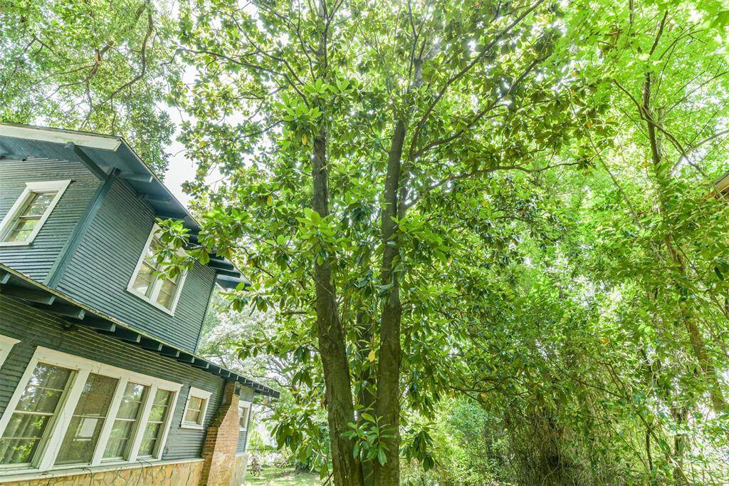 Charming home with lush greenery, featuring a two-story exterior with a cozy, inviting design and abundant natural light filtering through surrounding trees.