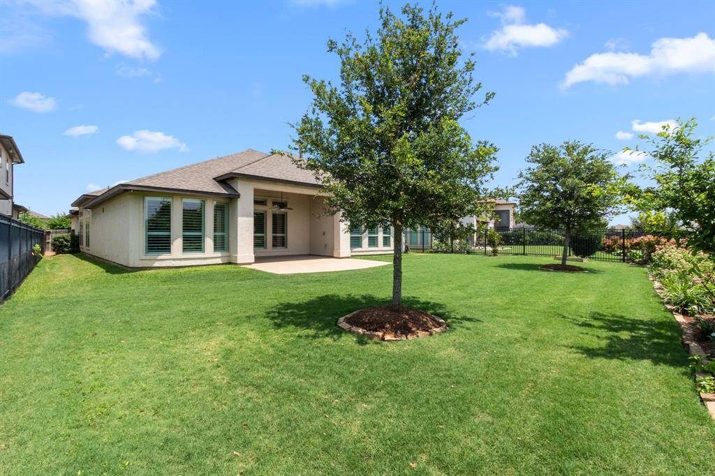 Stunning back yard with lots of space!