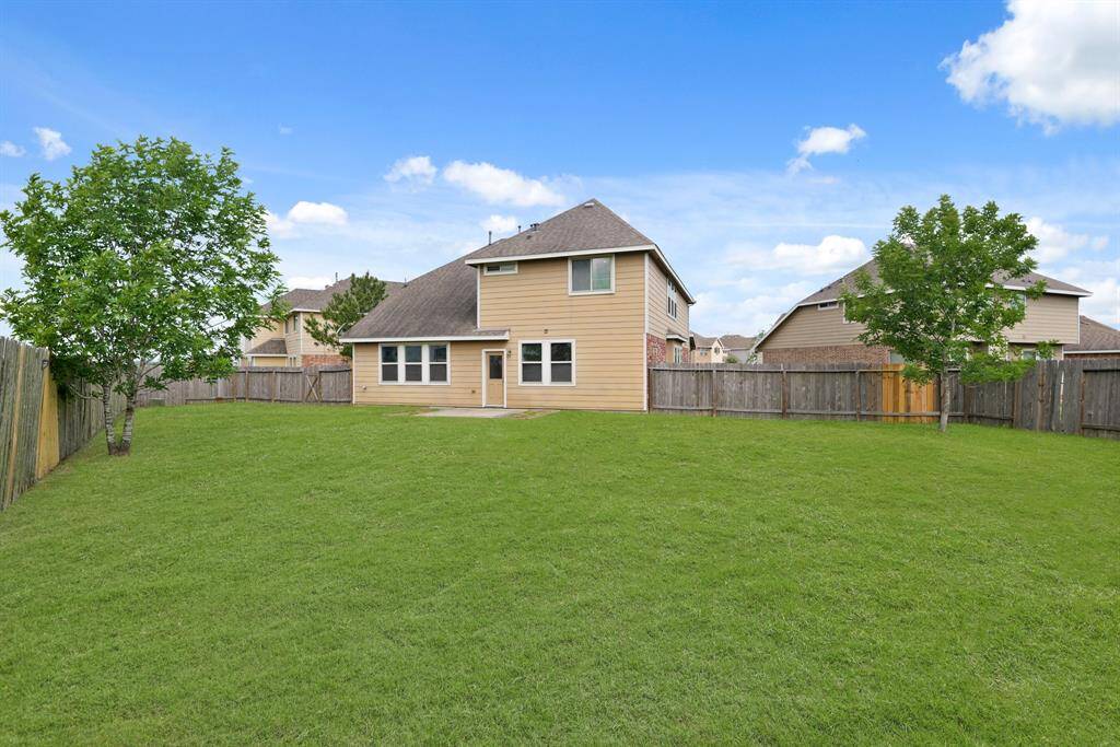 Oversized Backyard
