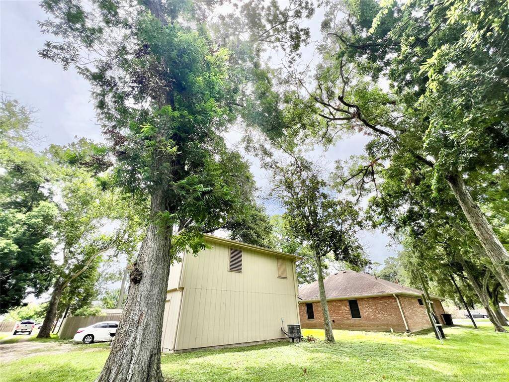 Huge mature producing Pecan trees, magnolia trees and oak trees all around.
