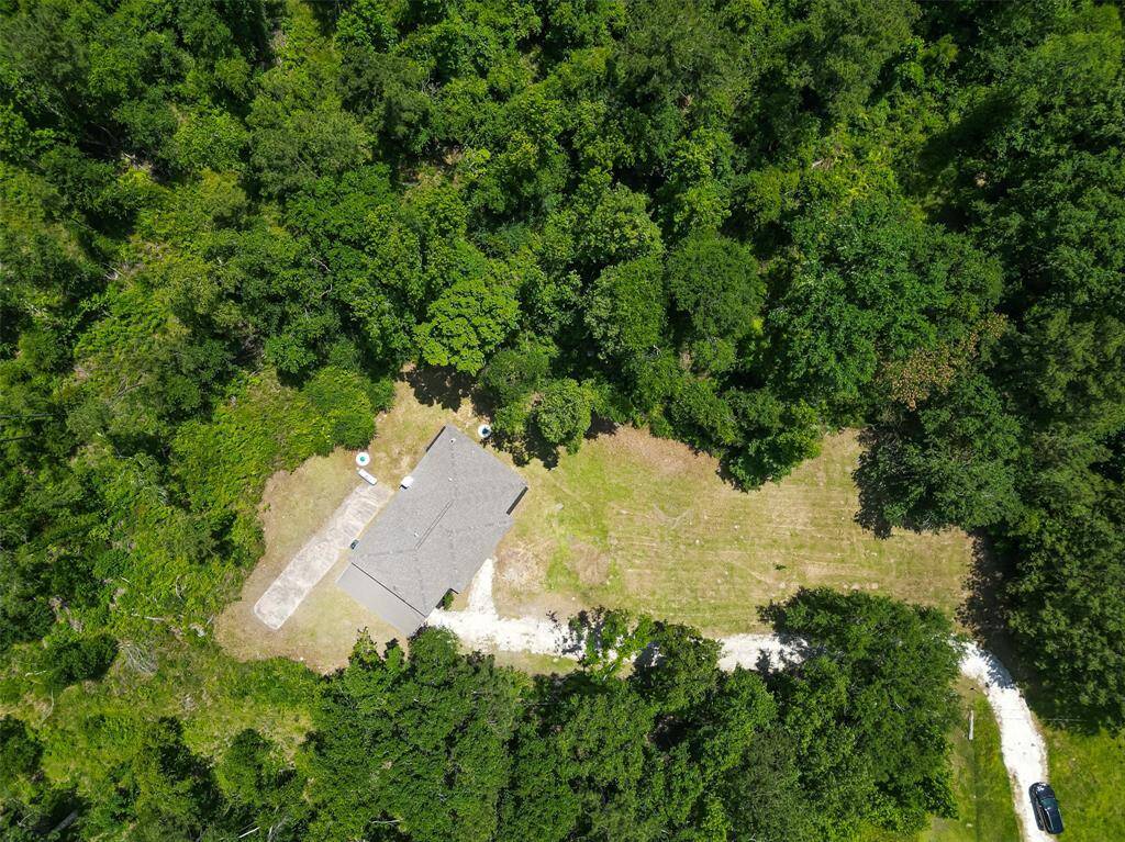 Home is surrounded by trees