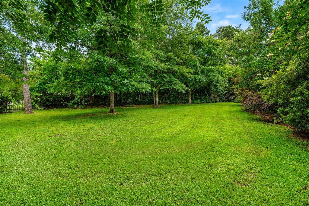 The extended back yard area taking in the two lots.
