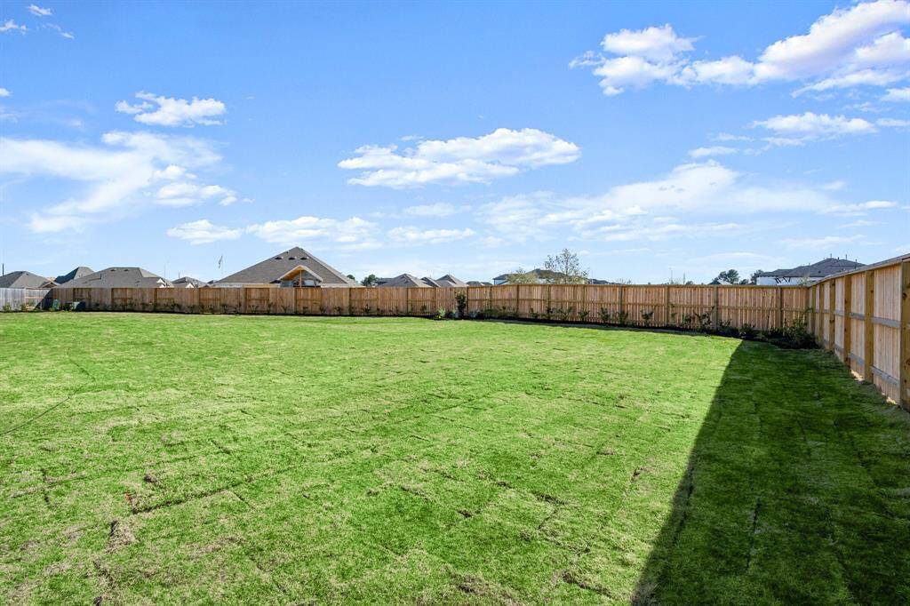 Rear Yard