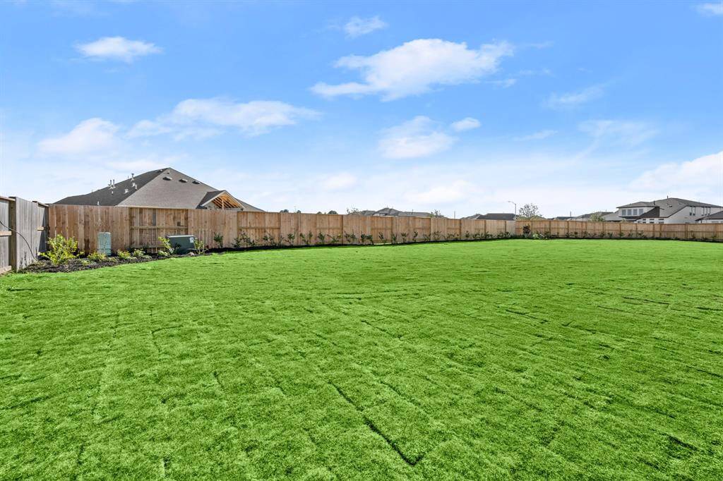 Rear Yard