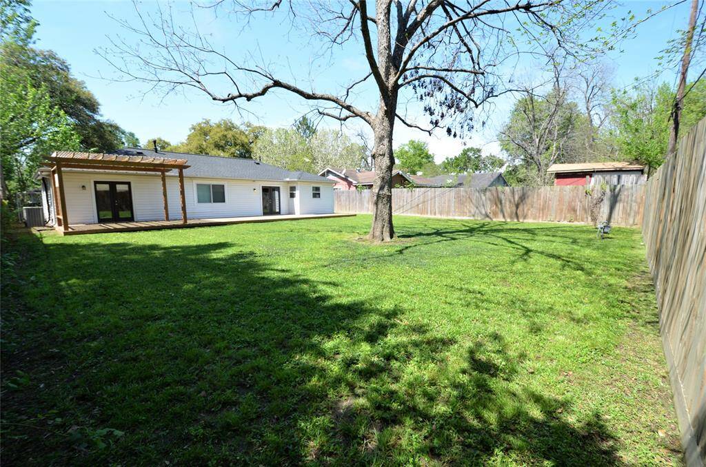 Enormous green backyard with pecan tree.