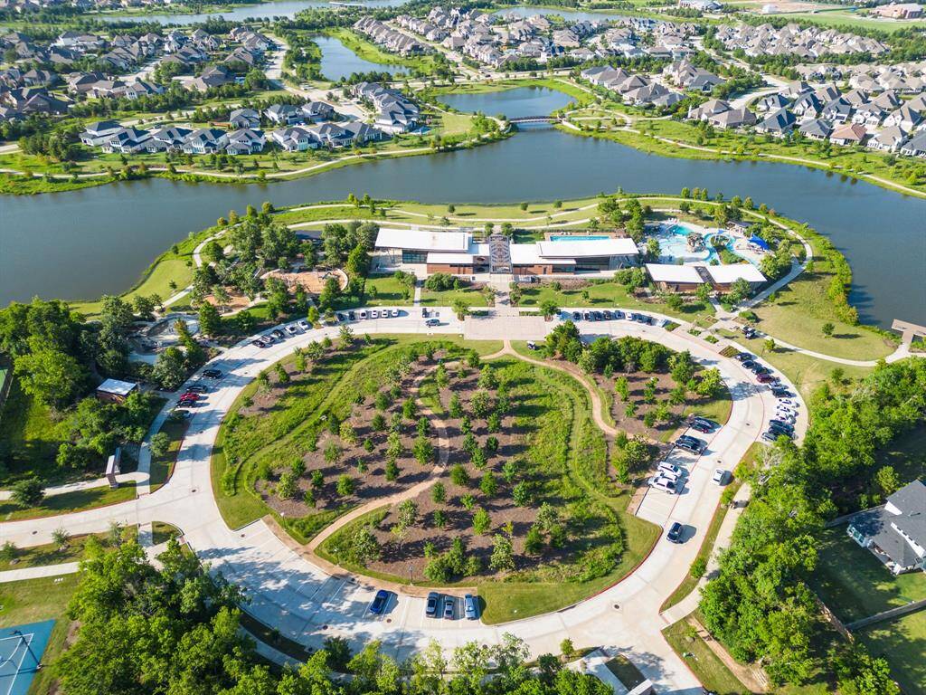 Dragonfly Park
