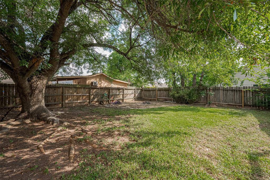 Spacious Backyard