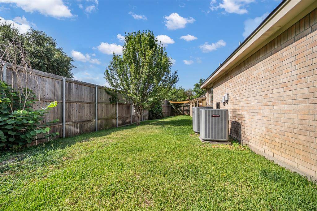 Back yard