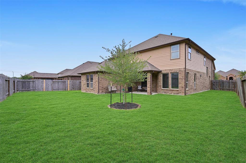 Spacious backyard with privacy fencing, a young shade tree, and plenty of room to add a pool, playset, or garden—perfect for outdoor fun or future customization.