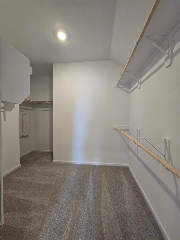 Spacious walk-in closet at master