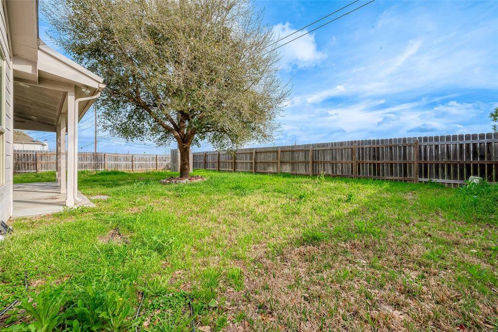 Property Image 49