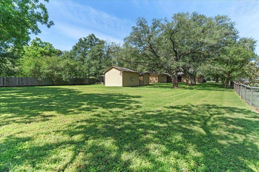 Back yard with majestic oak trees