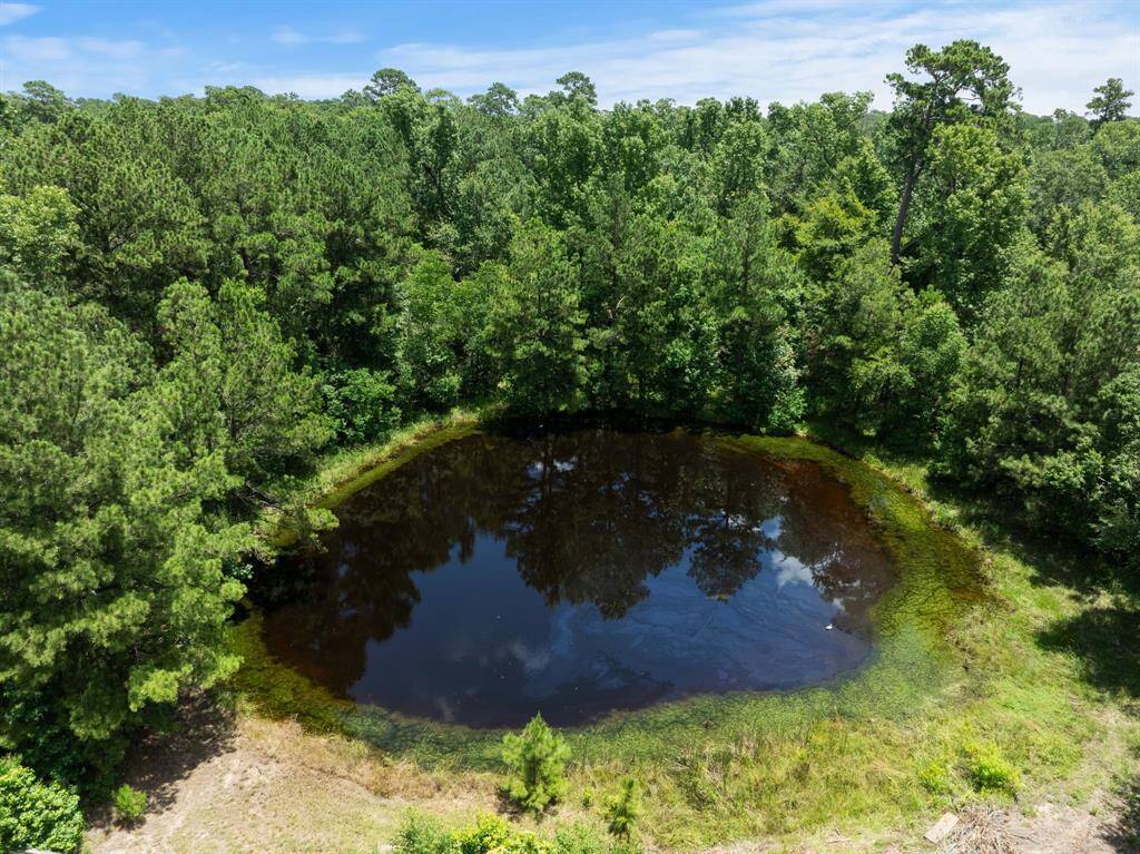 Don't miss the pond stocked with fish! Shared with the neighbor for fishing.