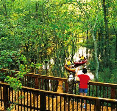 Miles of walking and biking trails