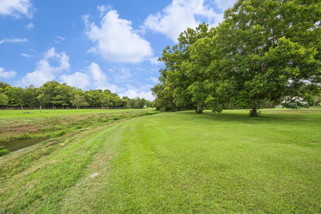 MUSTANG BAYOU RUNS RIGHT ALONG THE BACK OF THE PROPERTY WITH THESE THREE GORGEOUS PECAN TREES STANDING PROUDLY ALONG ITS BANK.