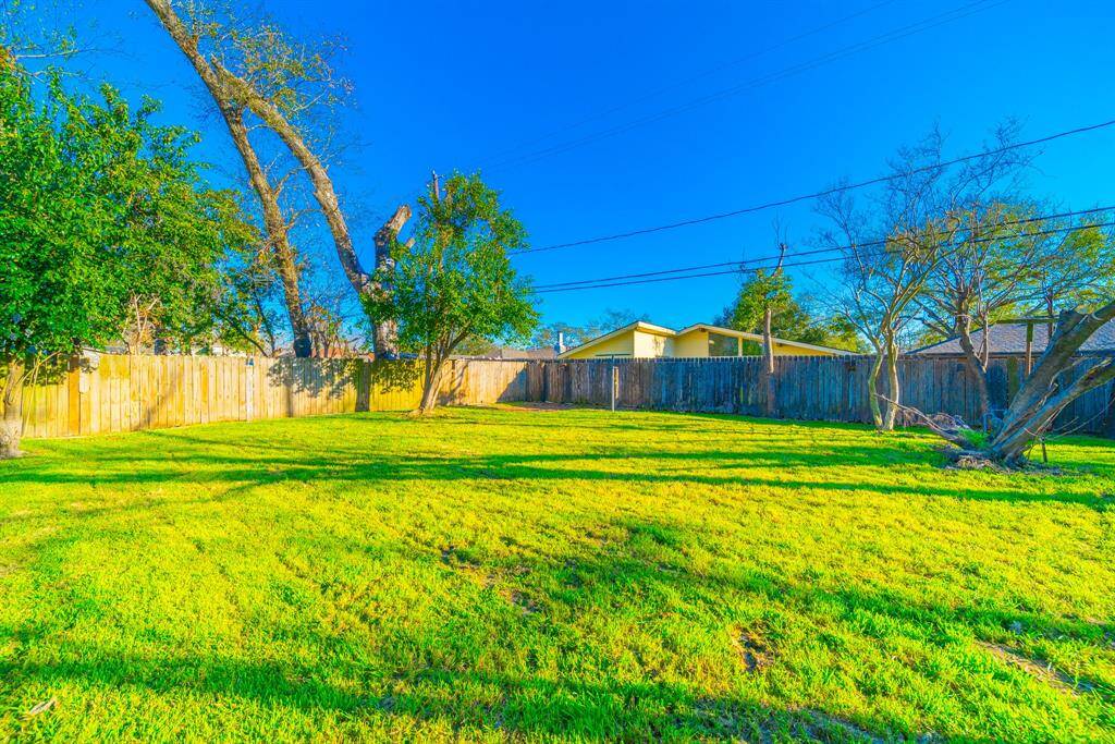 Huge Back Yard