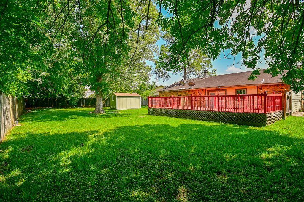 Very large backyard!