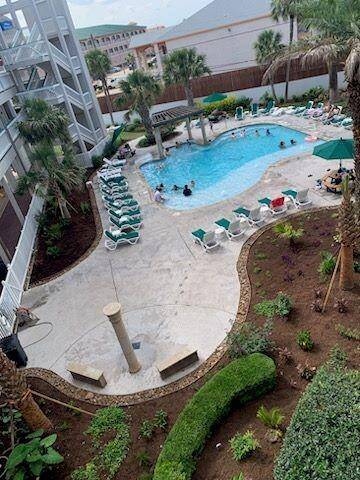 Anther pool view