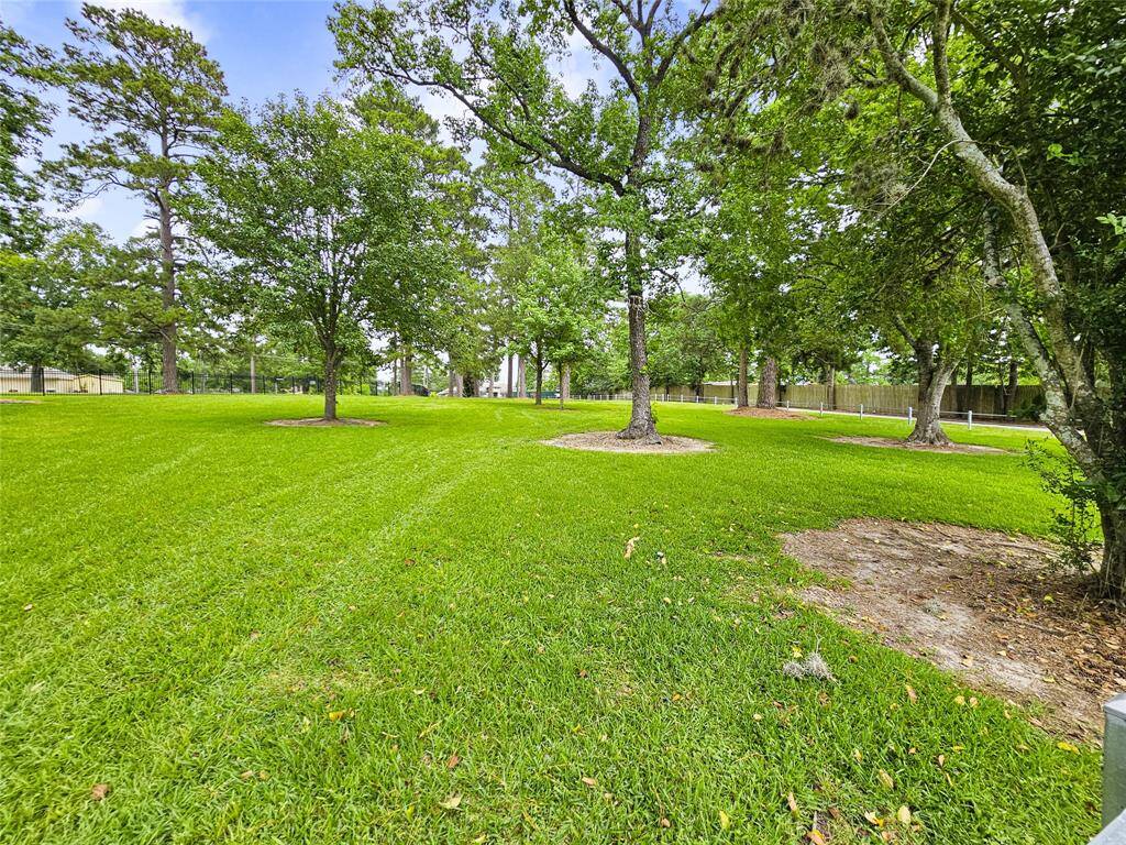 Neighborhood Private Access to  Lake Houston equipped with fishing pier, boat slip, large parking lot, and oversized green space with trees. Perfect for family gatherings.
