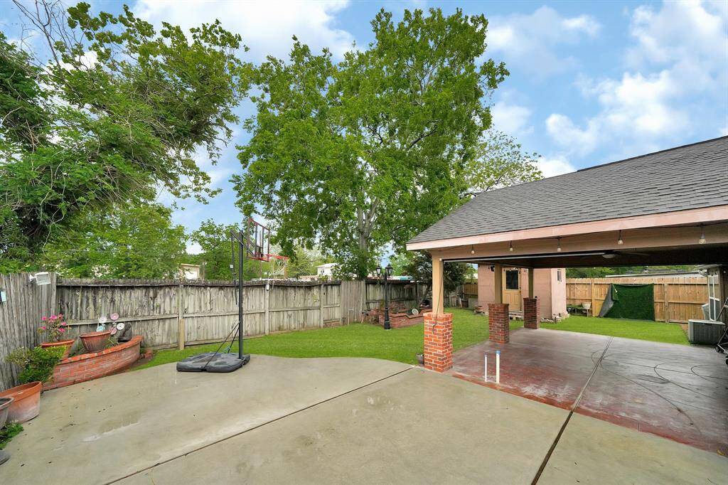 backyard.