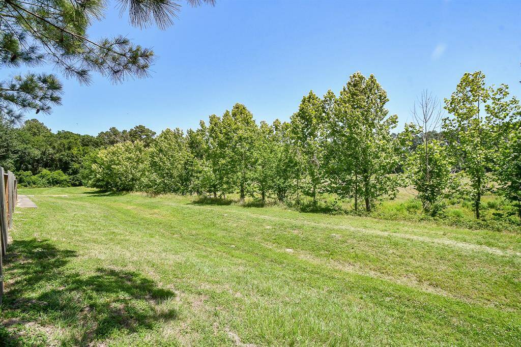 Nestled among mature trees with no backyard neighbors