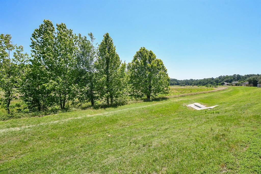 Nestled among mature trees with no backyard neighbors