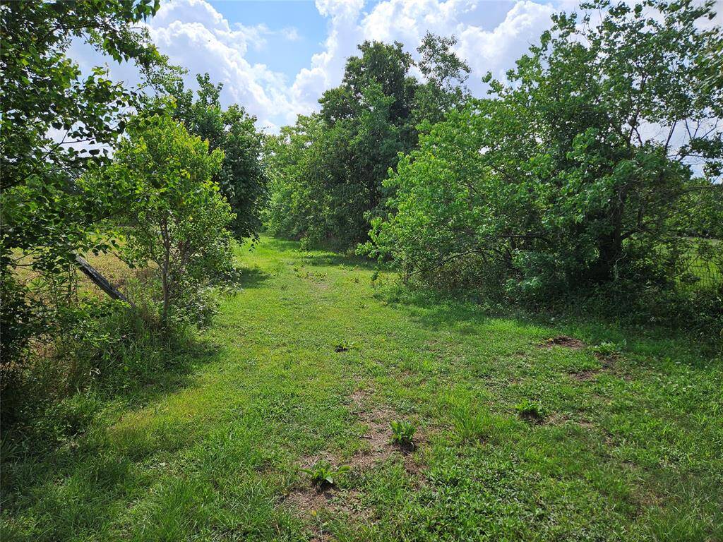 Property Image 42
