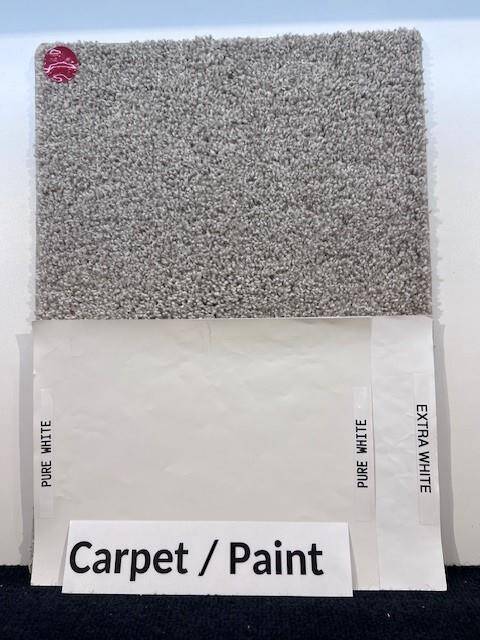 Carpet & Paint