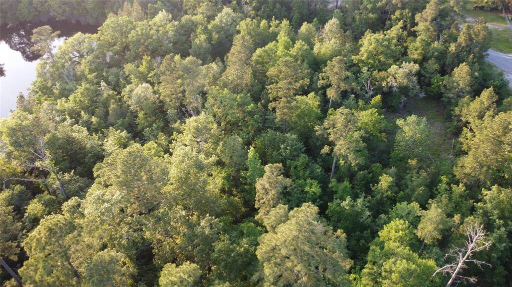 Mostly wooded. Perfect for your country home or just to get away. Want a place to put an RV until you are ready to build. This is it! Literally only a few miles from a public boat ramp that gives you direct access to the Trinity River and Lake Livingston.