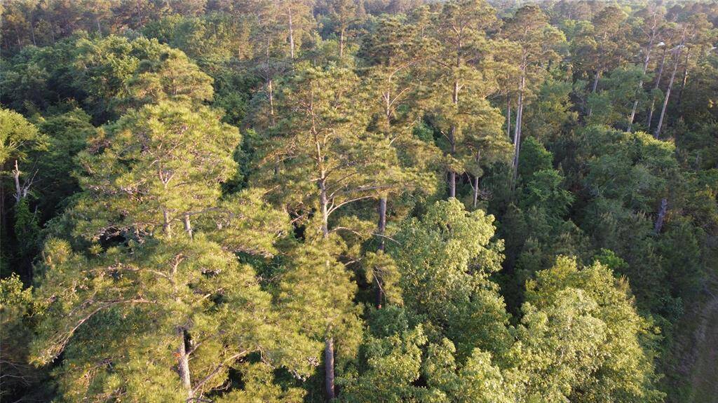 7.22 Acres in the city limits of Riverside which means you have access to city sewer and Riverside SUD. No digging wells or messing with septic systems!