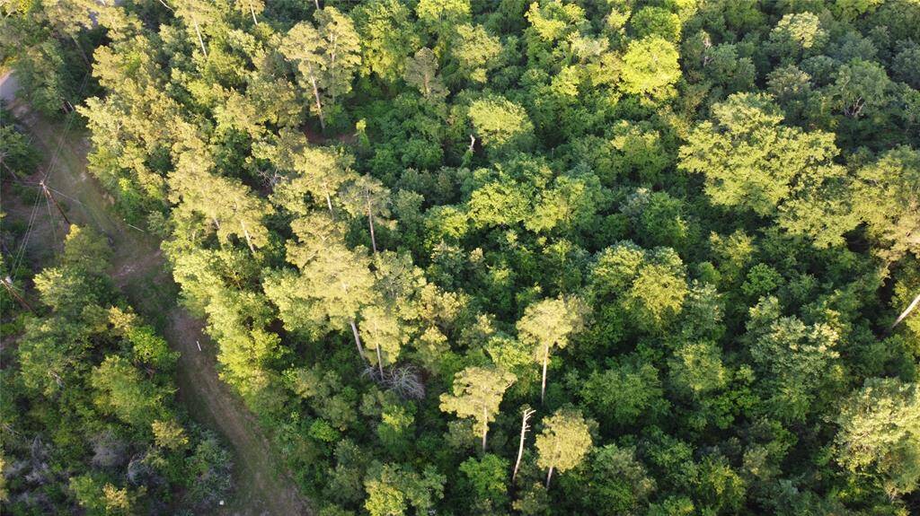 Mostly wooded. Perfect for your country home or just to get away. Want a place to put an RV until you are ready to build. This is it! Literally only a few miles from a public boat ramp that gives you direct access to the Trinity River and Lake Livingston.