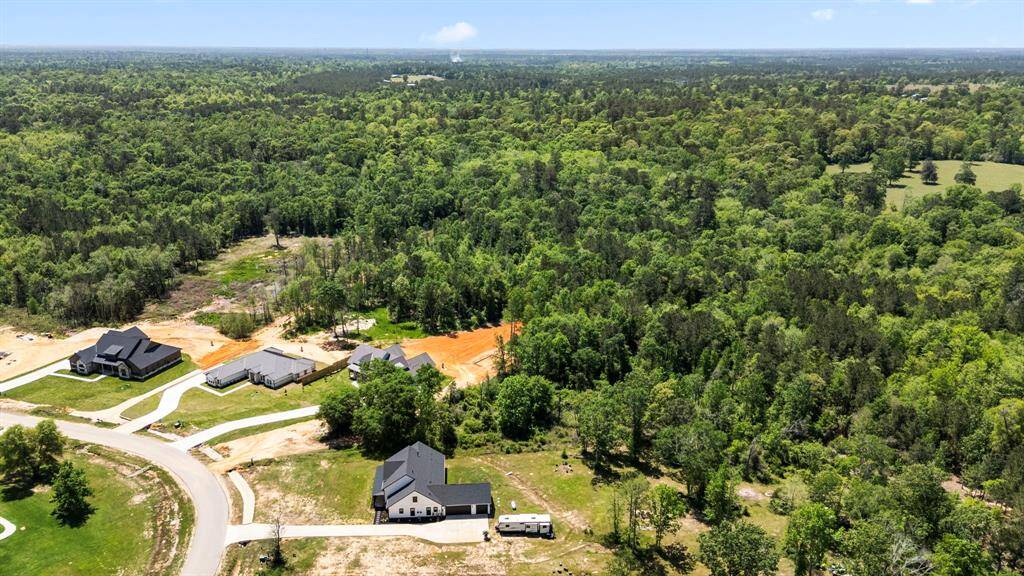 Behind the neighboring homes you have just forest and county/state owned area.