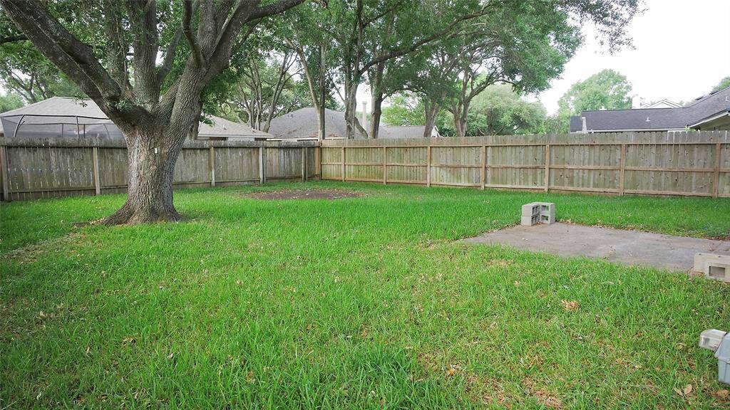 Large back yard with mature tree