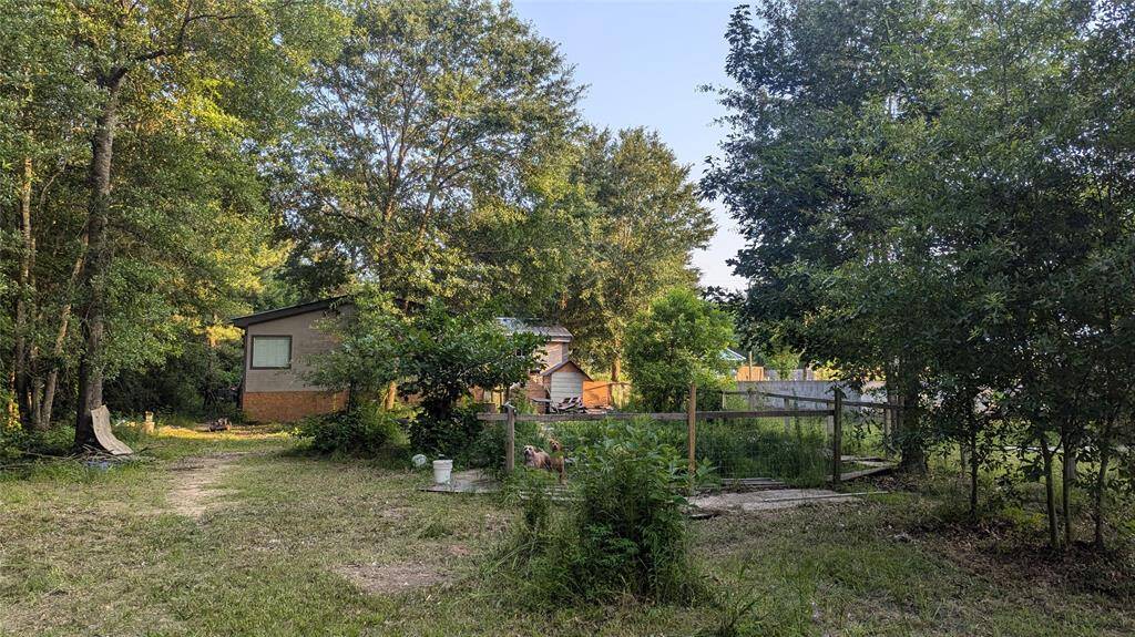 back yard