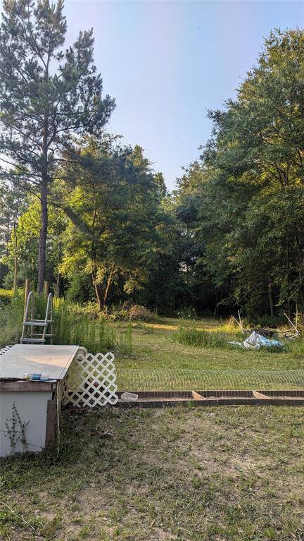 back yard