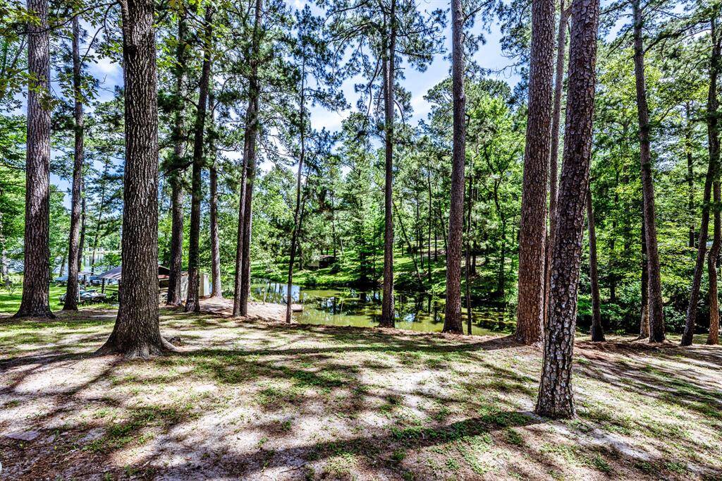 From the wooded side yard looking towards the water.