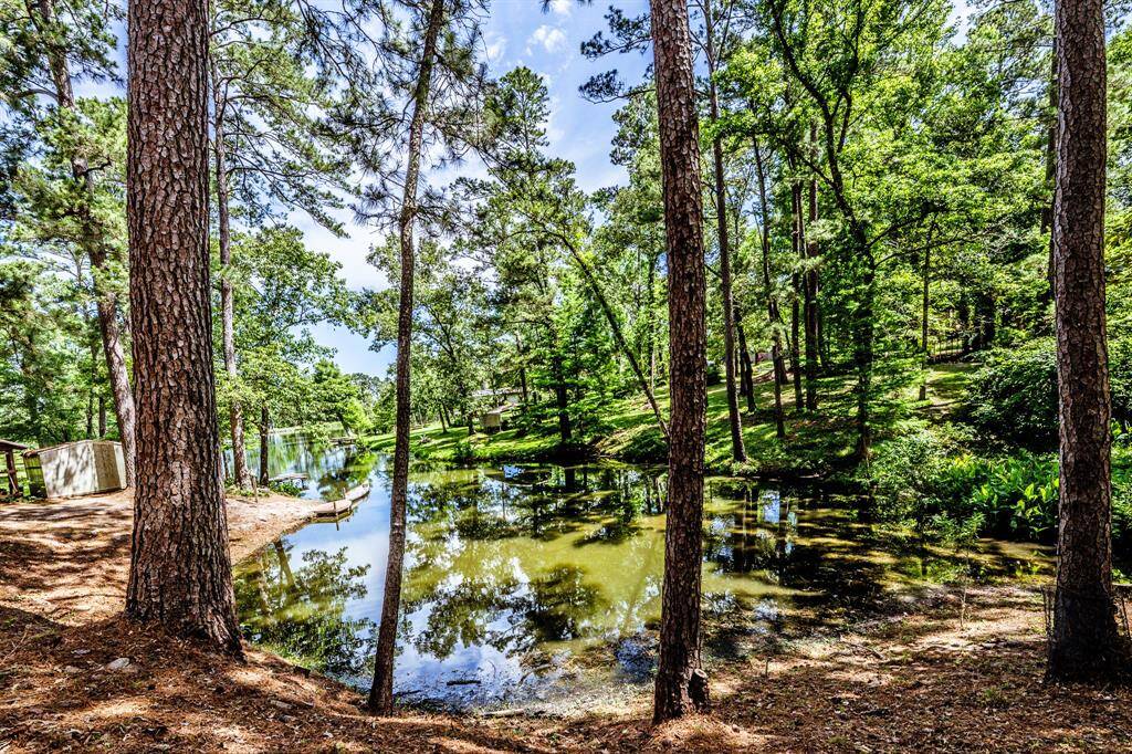 At the water's edge.  Notice the dock and canoe, and just beyond the canoe, the water opens up into a wider area of water.