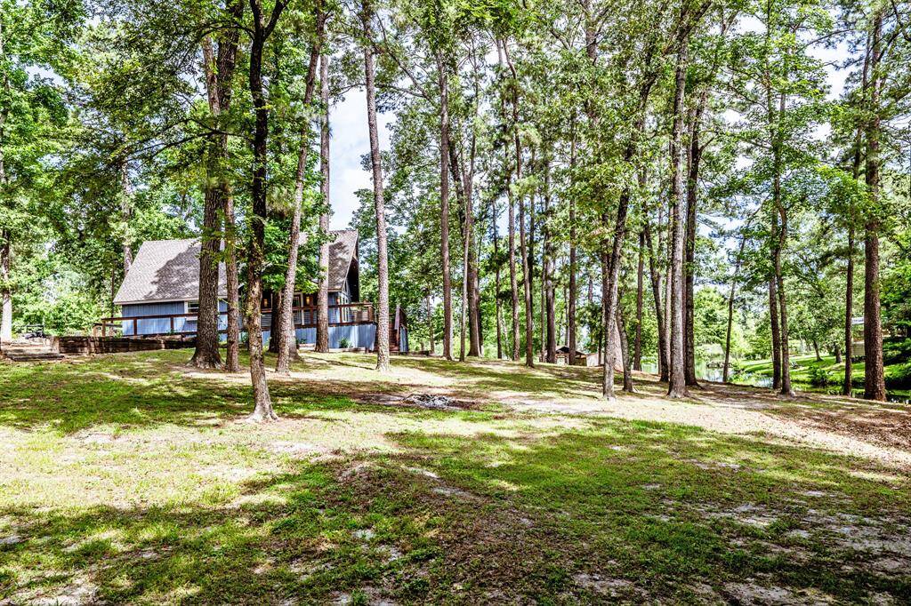 Another view from the side property line to the house.