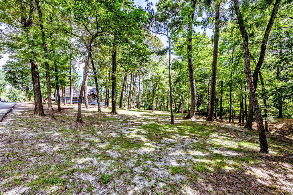 Standing on the side property line at the street looking back to the house.