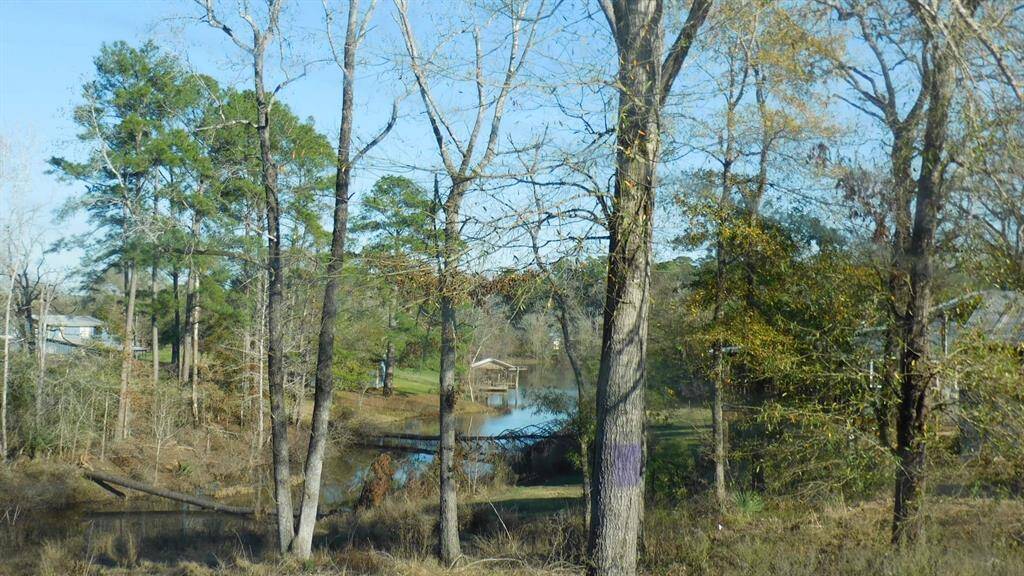 Canal View