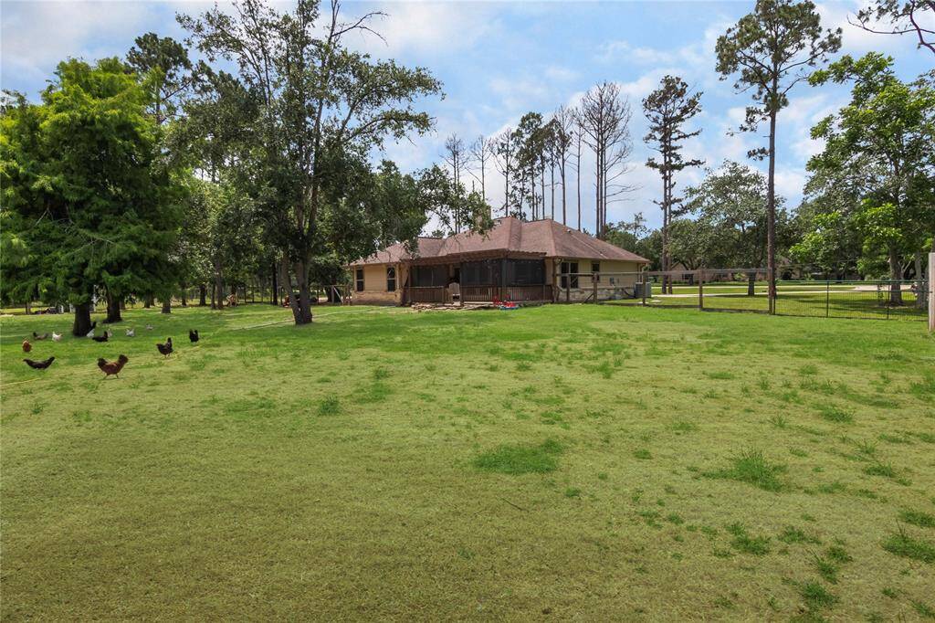 Property Image 32