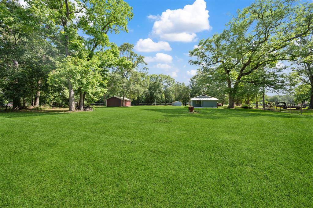 Look at all of that beautiful green grass with gorgeous trees!