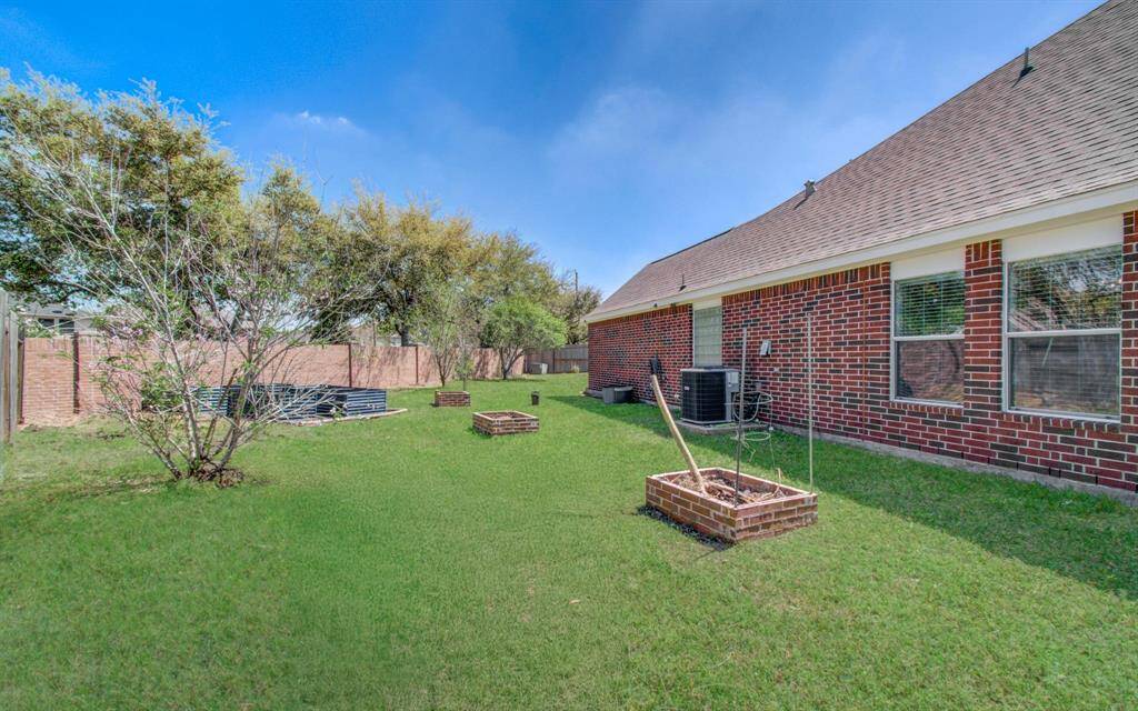 Big Backyard