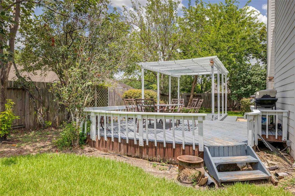Fabulous back yard