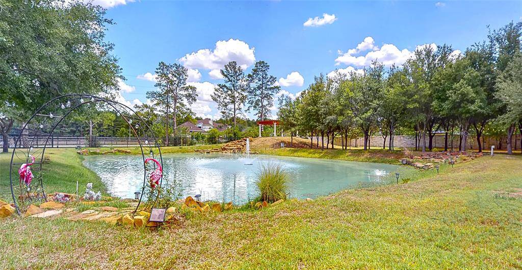 Pond View