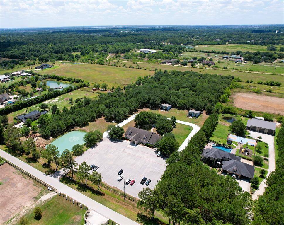 100's of Live Oak Trees