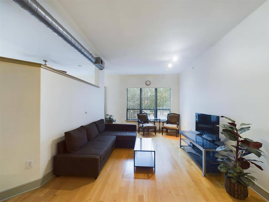 Living Area with Natural Lighting