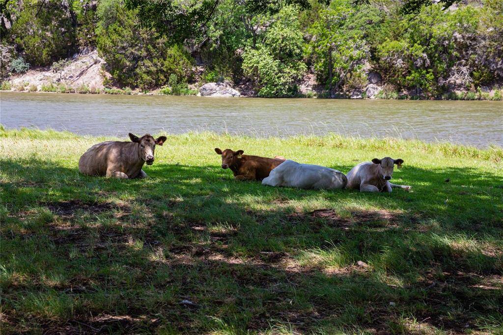 Tierra Linda Ranch offers agriculture examption.