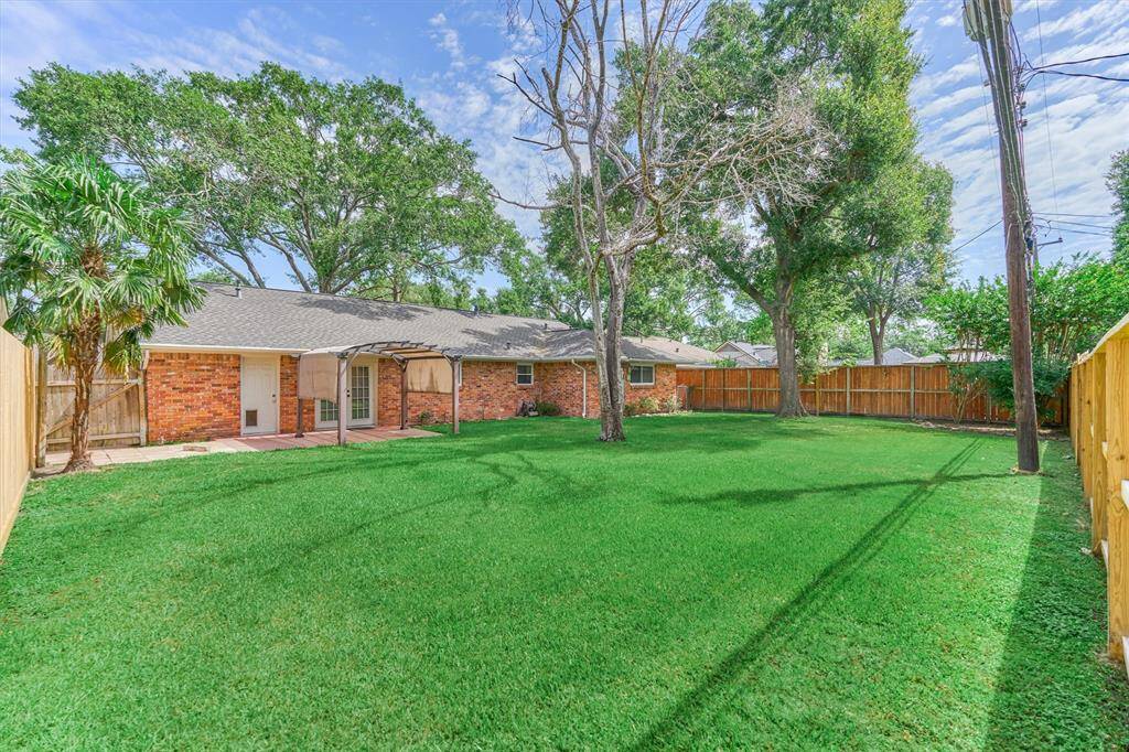 Large Backyard